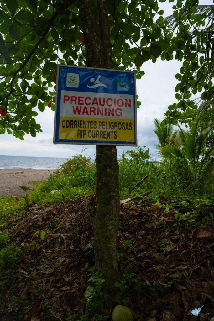 playa-tortuguero-costa-rica