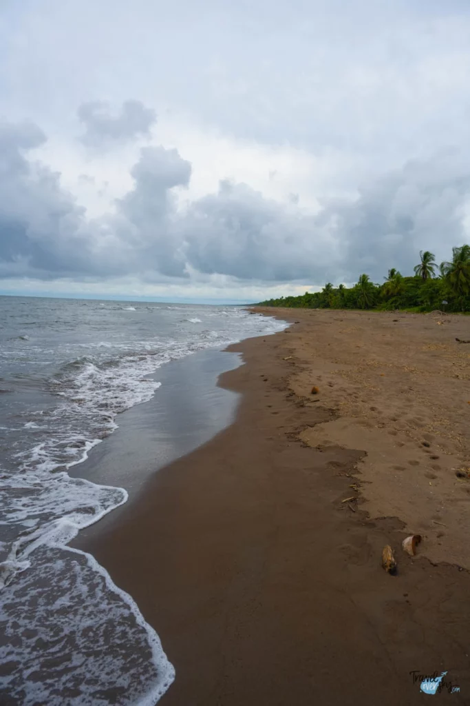 playa-tortuguero-costa-rica