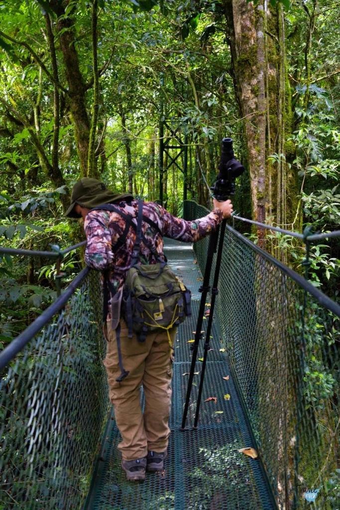 puentes-colgantes-monteverde-costarica