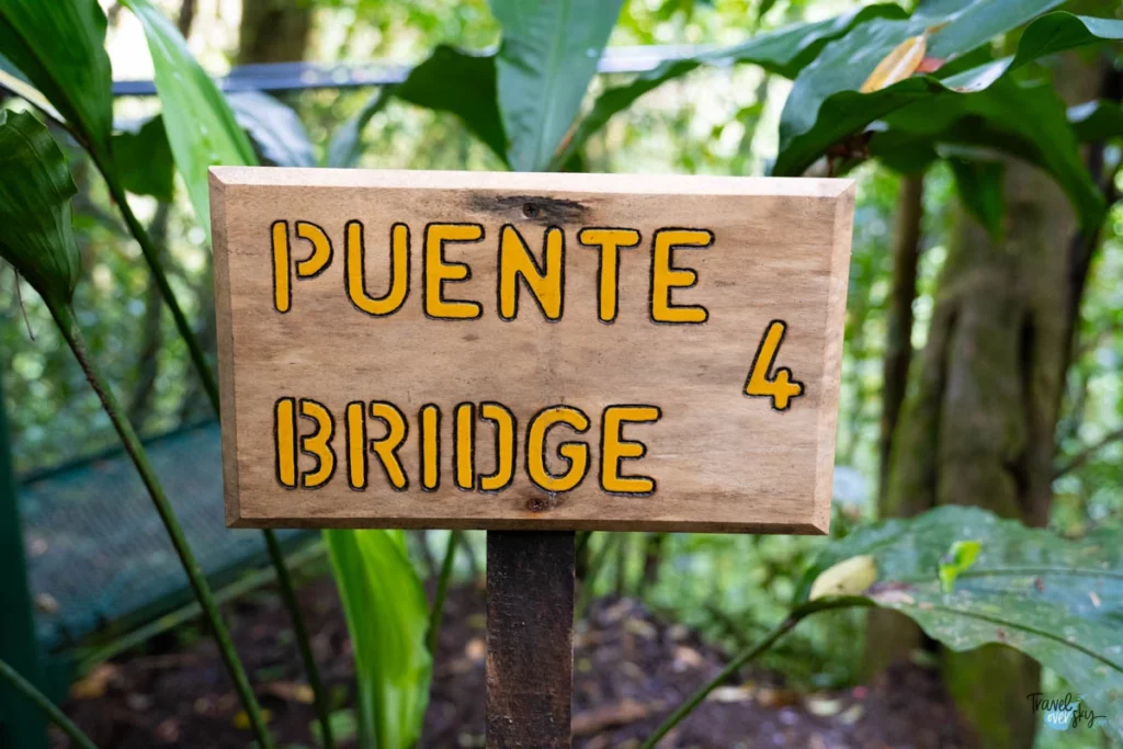 puentes-colgantes-monteverde-costarica