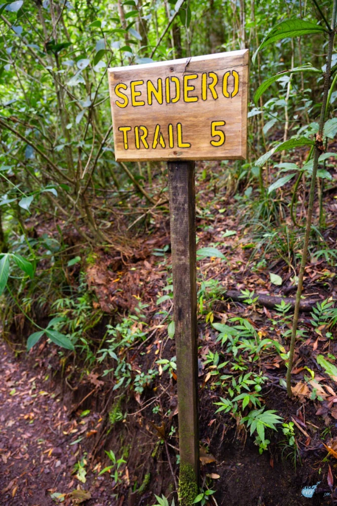 puentes-colgantes-monteverde-costarica