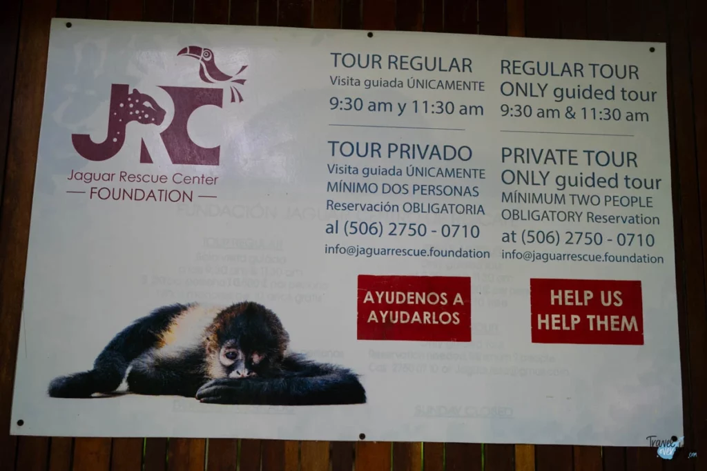 jaguar-rescue-center-costa-rica