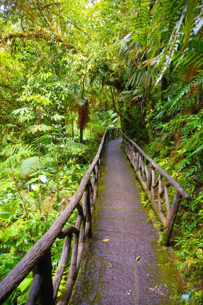 waterfall-gardens-costa-rica