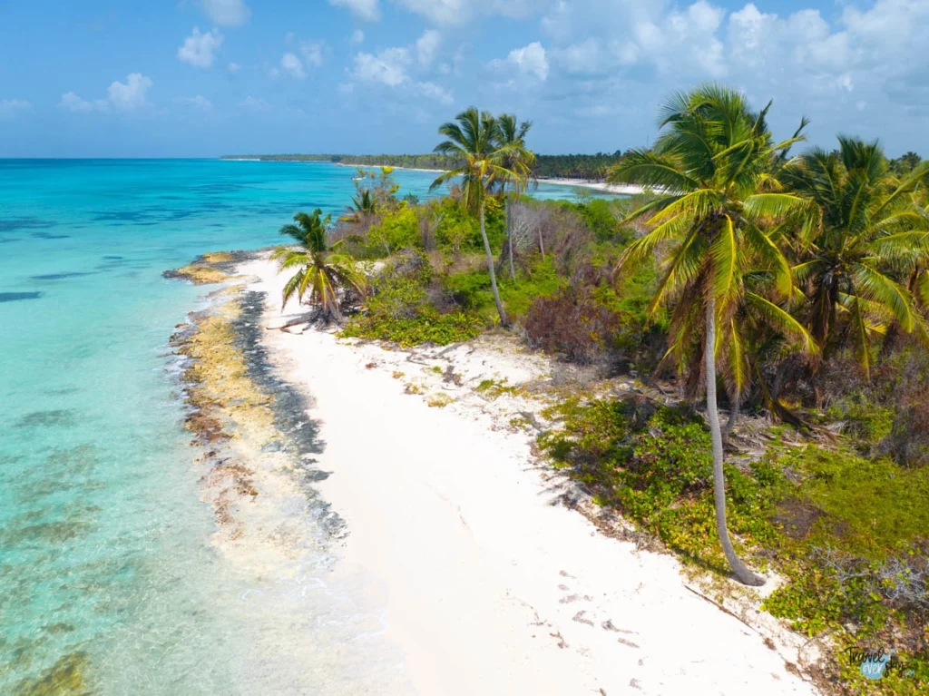 canto-de-la-playa-isla-saona