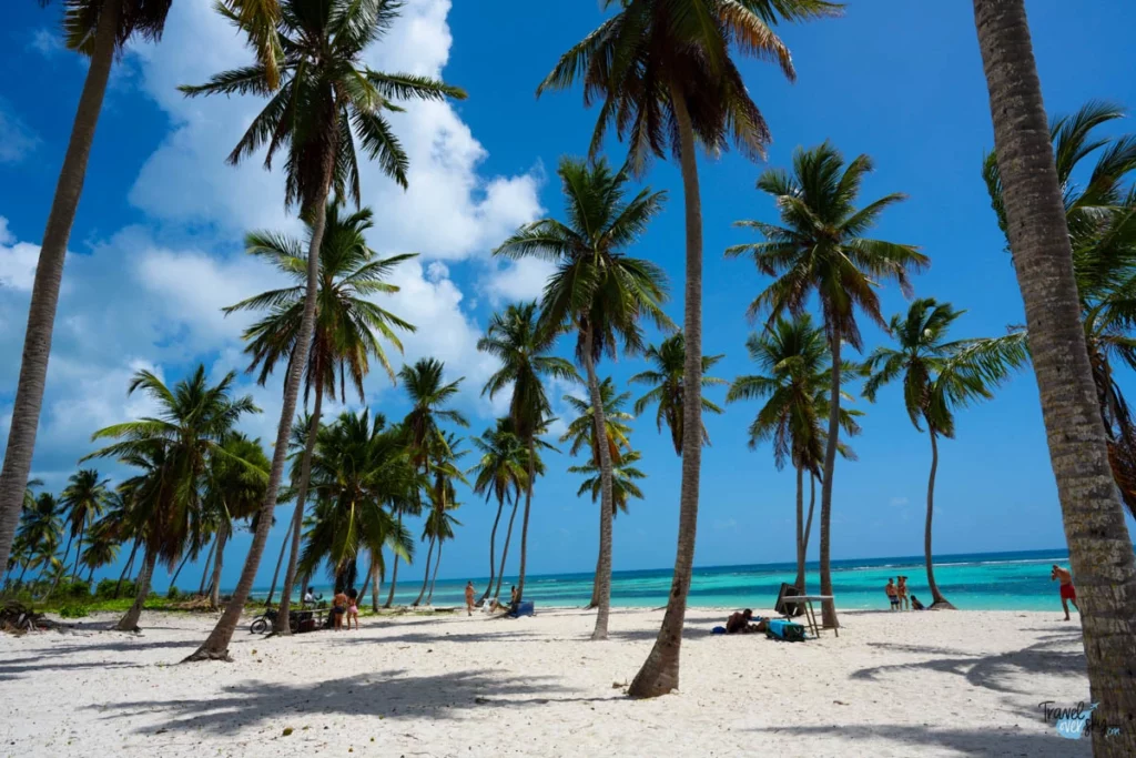 canto-de-la-playa-isla-saona