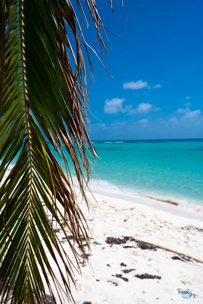 canto-de-la-playa-isla-saona