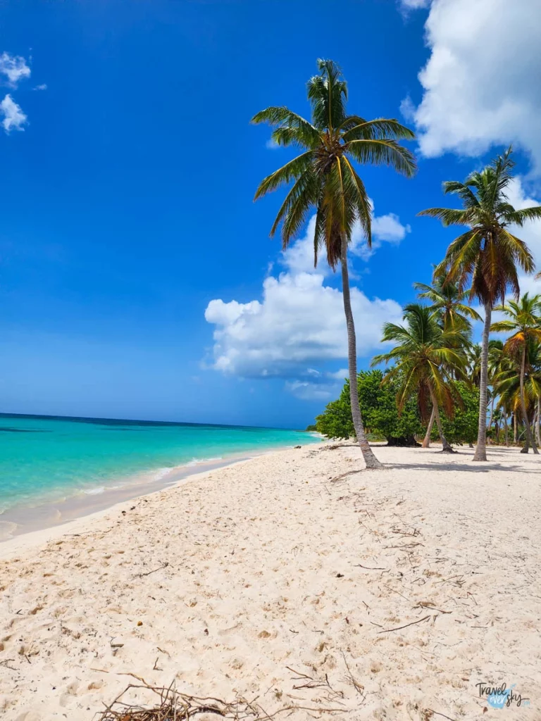 saona-island-dominican-republic