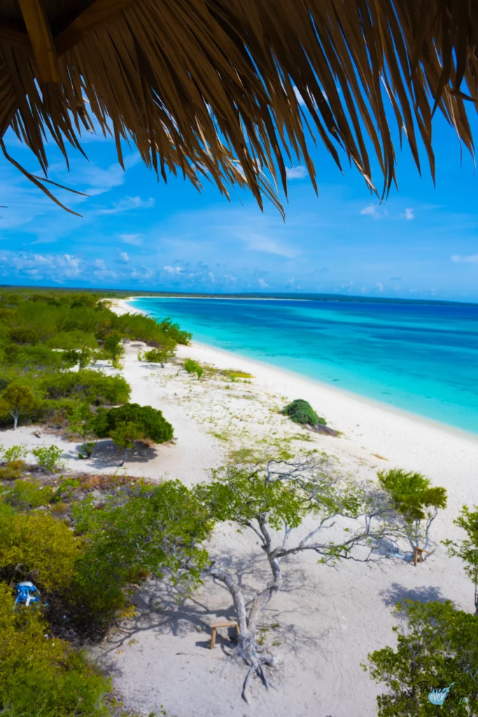 bahia-de-las-aguilas-republica-dominicana