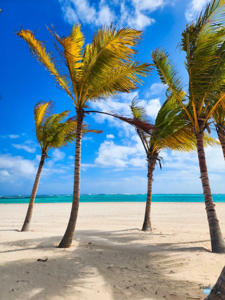 playa-blanca-punta-cana-republica-dominicana